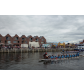 SAM_1064