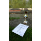 IMG-20150923-WA0006