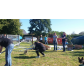 IMG-20151004-WA0021
