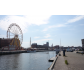 SAM_3859