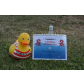 SAM_4497