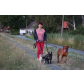 SAM_4812