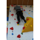 SAM_7850