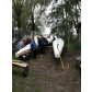 IMG_20191012_142143